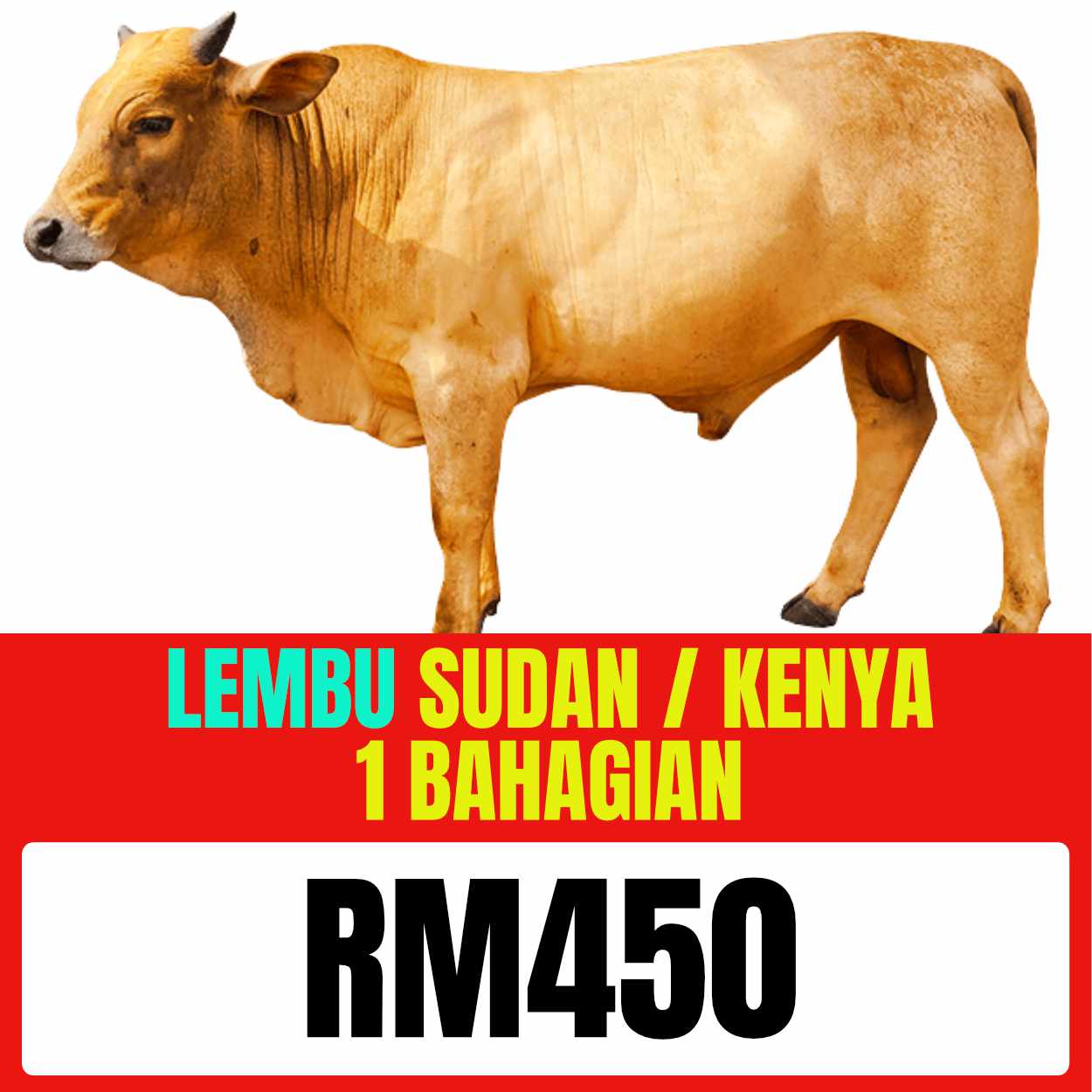Gambar Lembu — bahagian